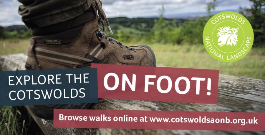 Guided walks