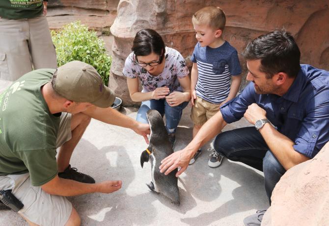A family and zookeeper kneels down and pets a penguin at the Sedgwick County Zoo