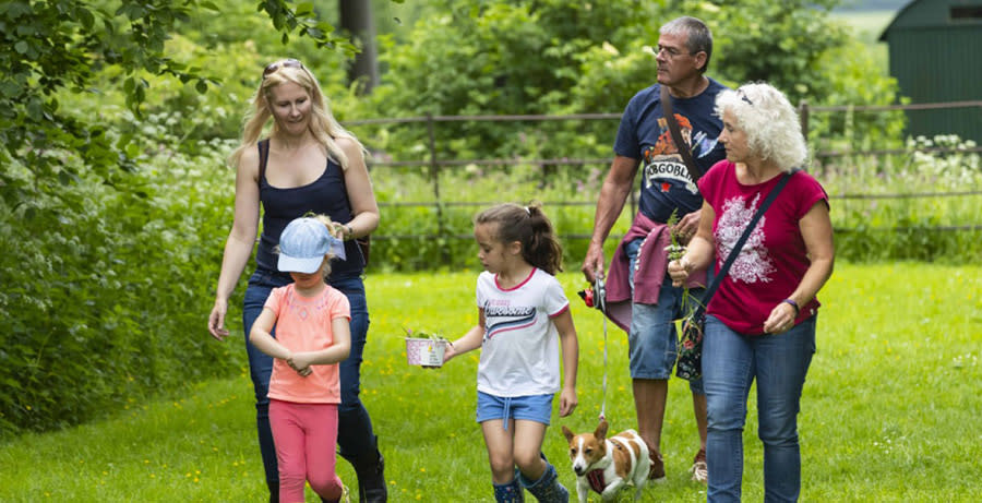 Family out walking