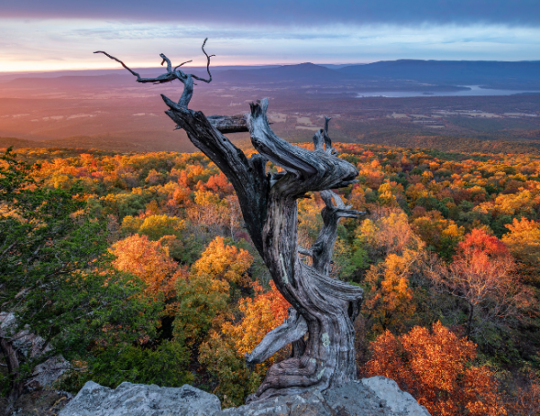 A beautiful fall scene awaits visitors at the Mount Magazine Overlook.