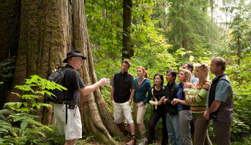 Activities | Walking Tours in Vancouver