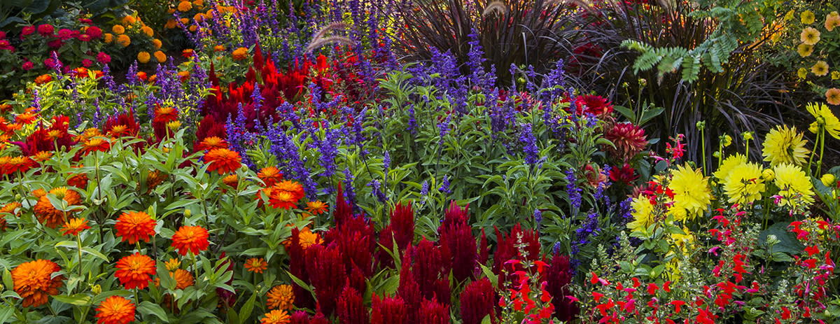 Denver Botanic Gardens