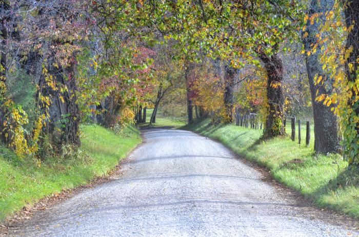 Cades Cove Sparks Lane