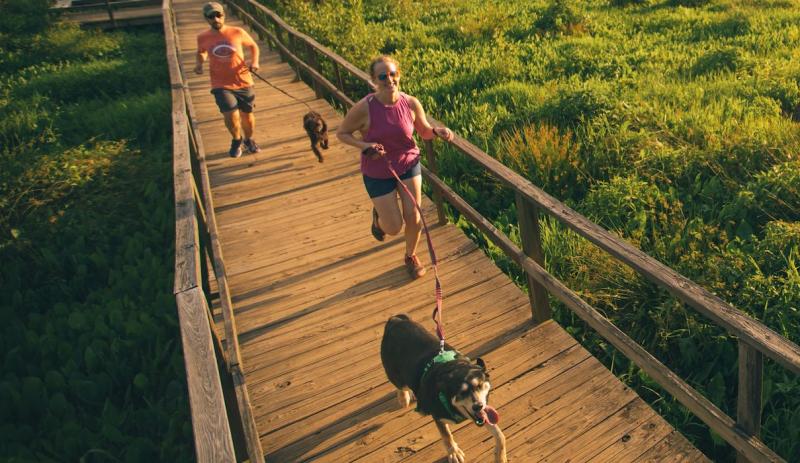 pet friendly cottonwood trail