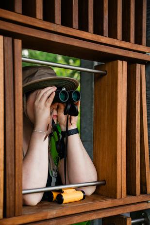 A close-up view of a woman in the bird blind at the GMNP. The woman is wearing a bright green shirt and khaki safari hat, peering through binoculars between the moveable wooden slats of the bird blind.