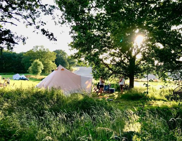 Wild Combe Camping