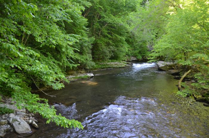 Deep Creek Stream