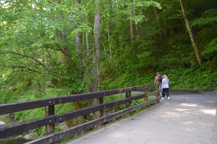 Hiking Bridge Deep Creek