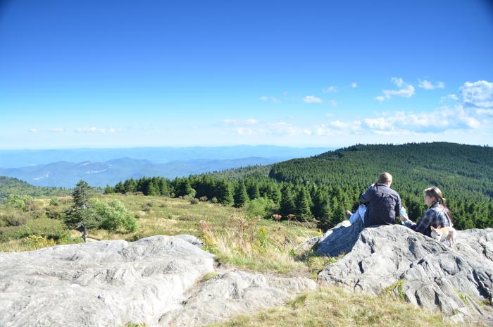 Black Balsam Knob