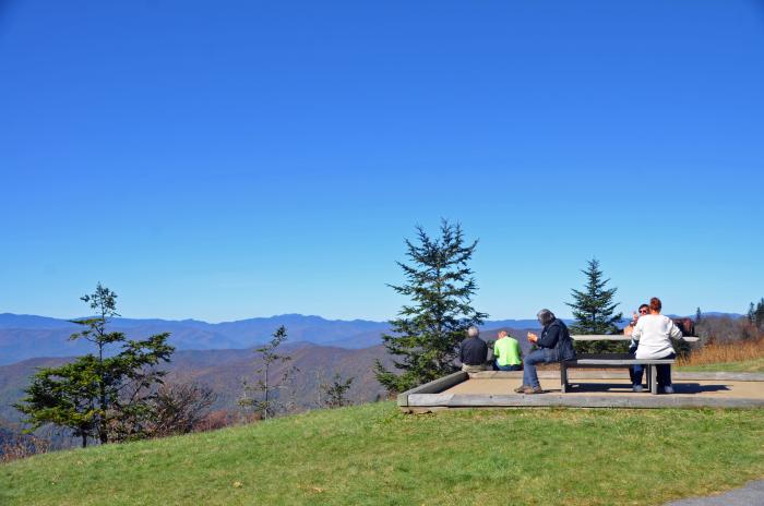 Waterrock Knob Picnic Area