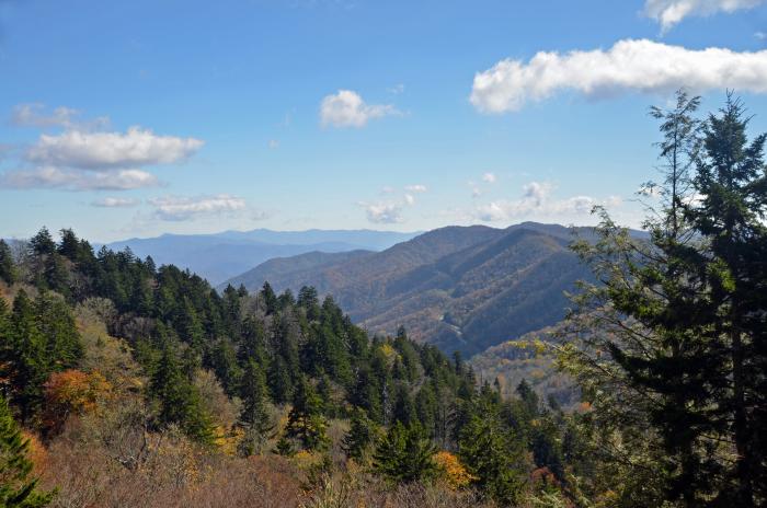 Newfound Gap