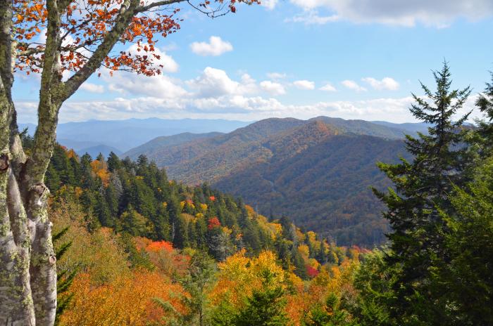 Newfound Gap