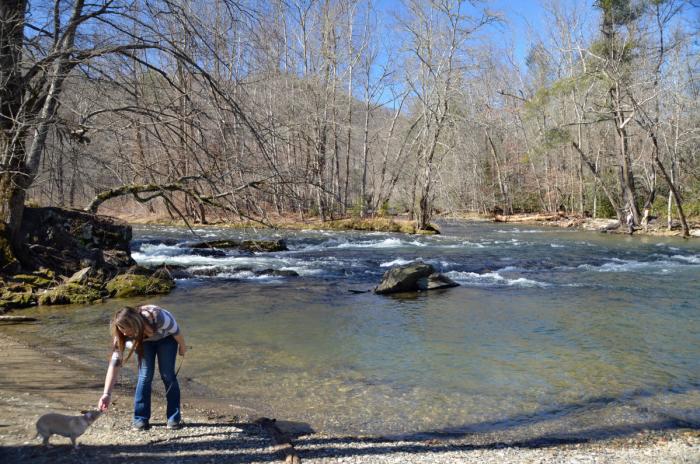 Pet Friendly Hike Oconaluftee River Trail