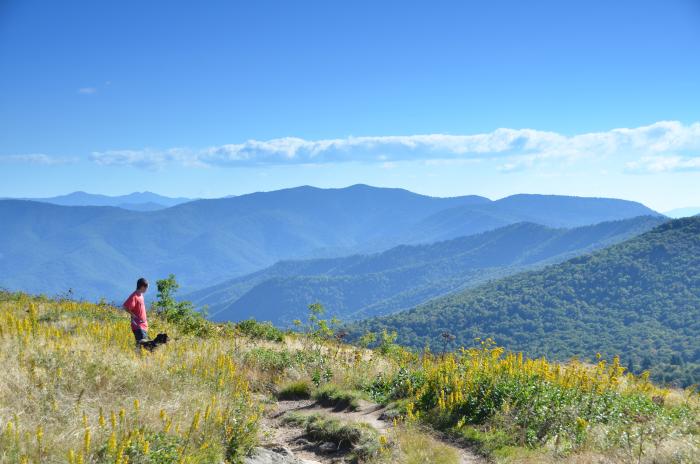 Black Balsam Hiking