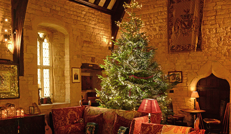 A large Christmas tree stands in an inviting lounge with vaulted ceiling