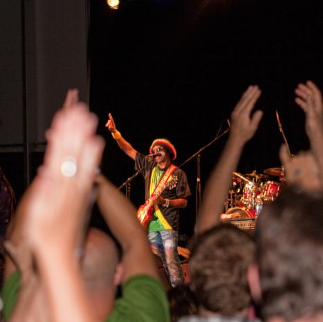 Rick Hamel Live