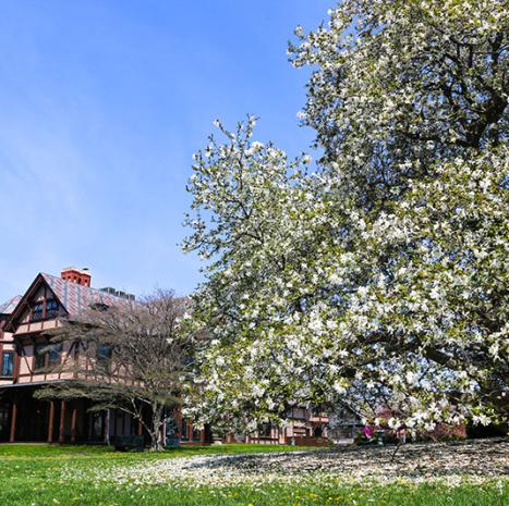 Newport Art Museum