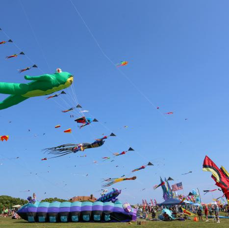 Fly A Kite