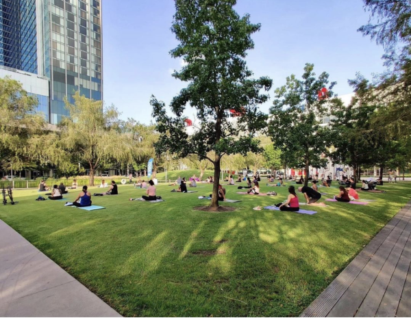 Yoga in the park at Discovery Green in Houston, TX