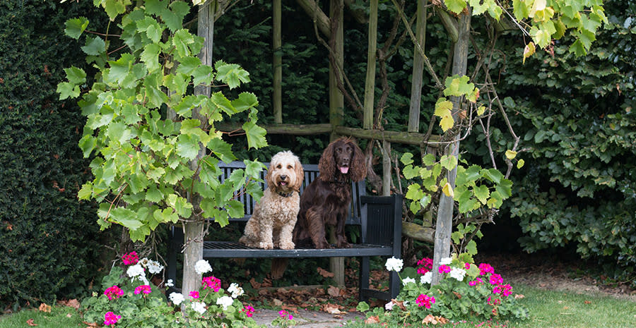 The gardens at the Lygon Arms
