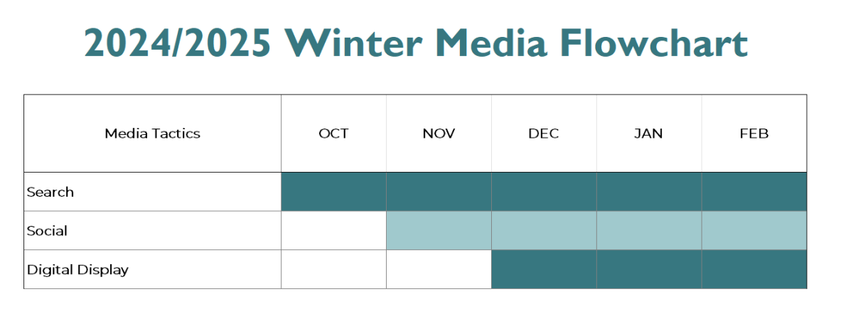 Media Buy Summary