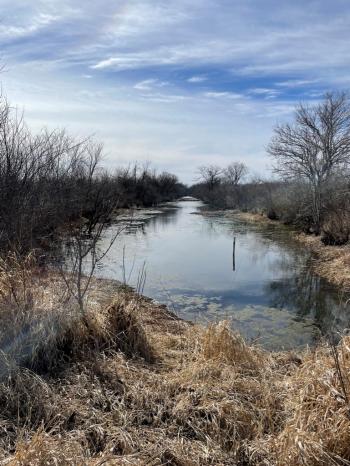 Baker Wetlands Canal