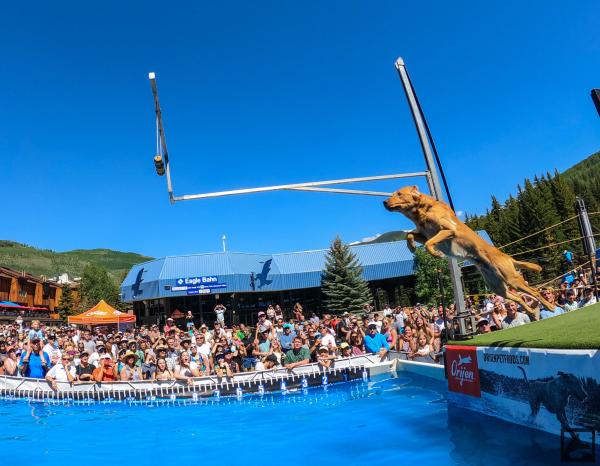 Keystone Dock Dogs Kipona