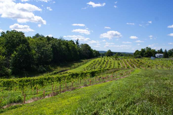 Worth The Drive: Chatham, NY