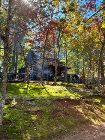 Hart Square - Cabins