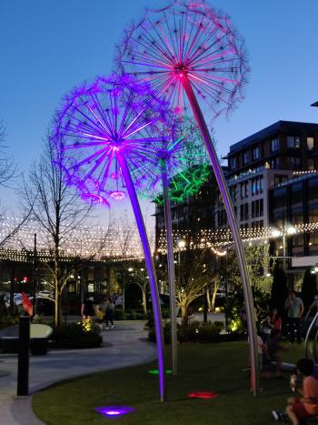 Stainless steel dandelions at Village at Totem Lake in the evening