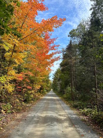 A gravel portion of the IOHT surrounded by fall foliage