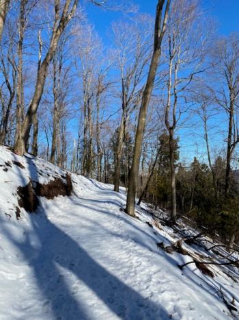 Empire Bluff Snowy Trail