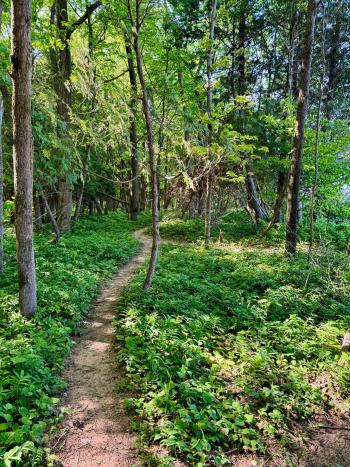 Treat Farm Trail