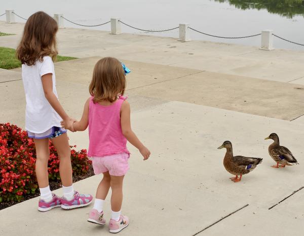 Children watching the ducks at Lake Kittamaqundi