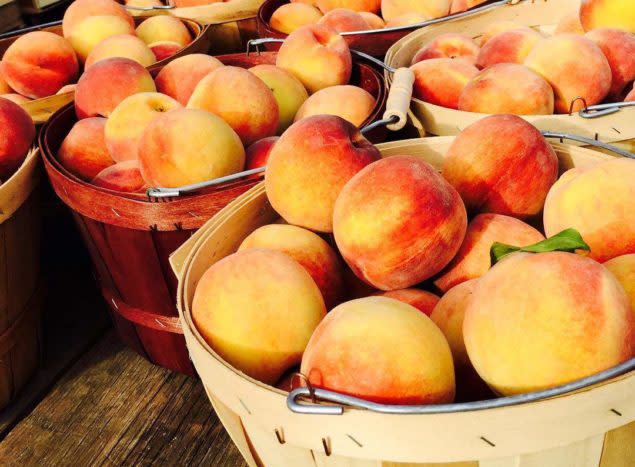Peaches in baskets at Husted Farm Market