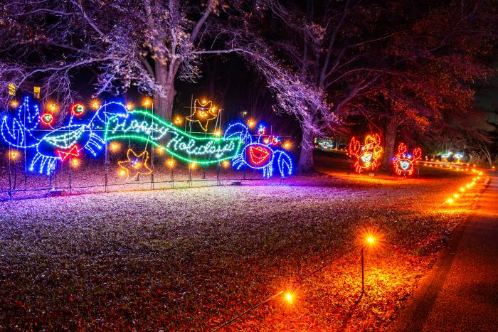 Lights on the Bay