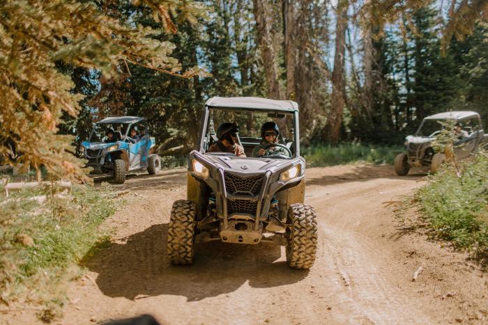 Two off-road vehicles navigate a dirt path through a forested area, surrounded by tall trees and greenery. Sunlight filters through the leaves.