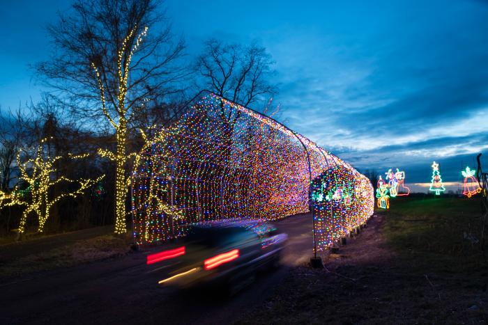 Shady Brook Light Show