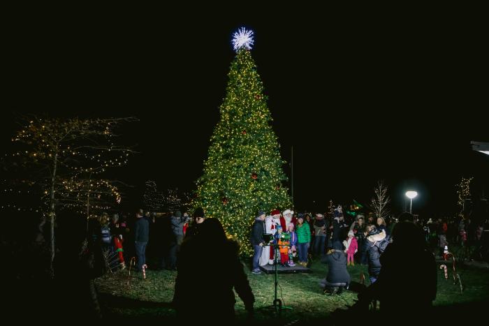 30 ft Christmas tree lit for the holidays