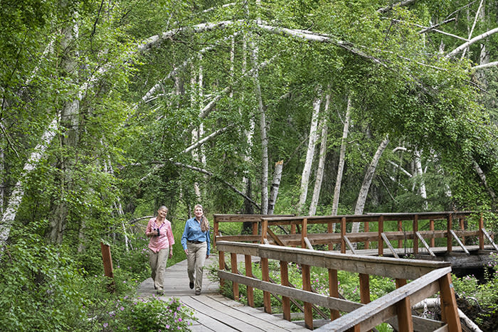 Midnight Sun Tracker  Explore Fairbanks Alaska