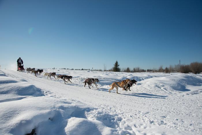 ONAC musher and sled dog team