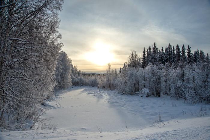 Sunset over trees and a frozen pond in winter