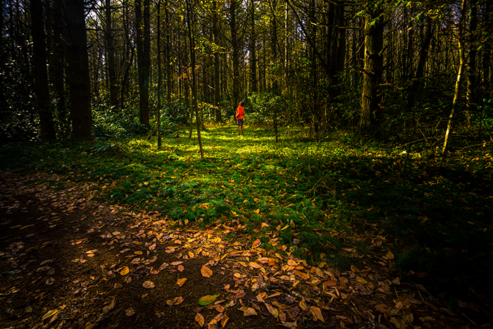 02_Panthertown_Valley_Matt_Van_Swol_f4023e25-b203-4544-a6d6-e40d2263eb86