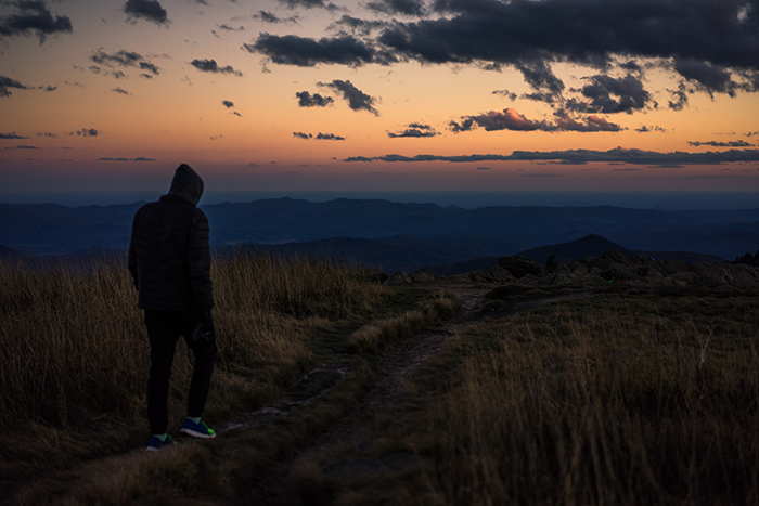 14_Black_Balsam_Matt_Van_Swol_111895a9-4de2-462e-807a-332dc9c1c396