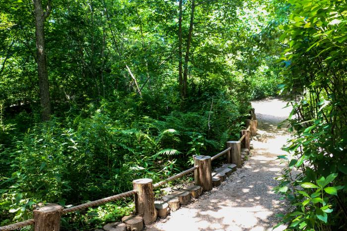 Avalon Nature Preserve path