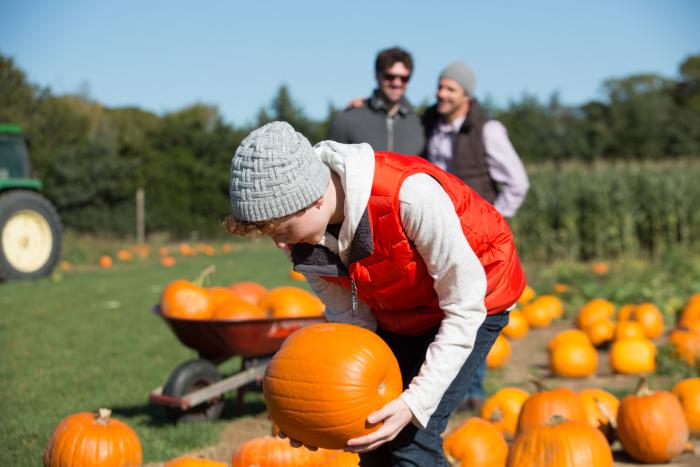 Parents looking lovingly at their child picking a pumpkin at a pumpkin patch on Long Island.