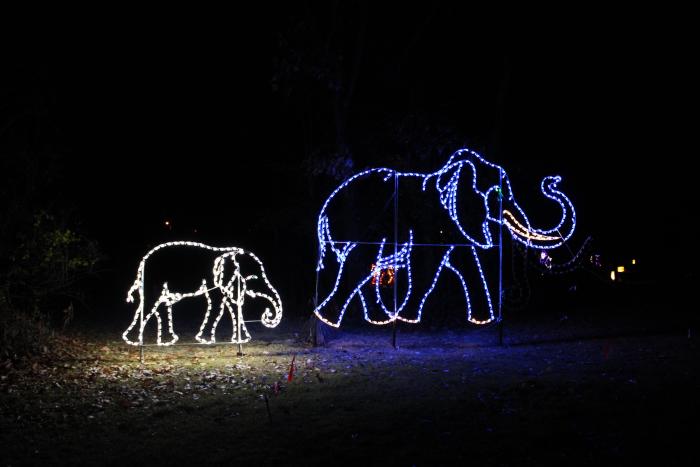 Lights in Lincoln Park Elephants