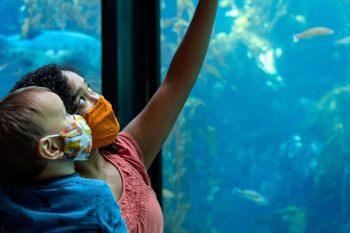 Monterey Bay Aquarium Guests