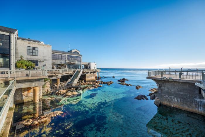 Mopnterey Bay Aquarium deck facing the Monterey Bay. Great tide pool in the foreground.