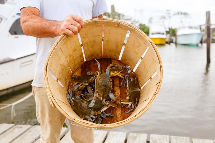 Wanchese Crabbing